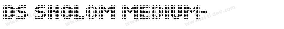 DS Sholom Medium字体转换